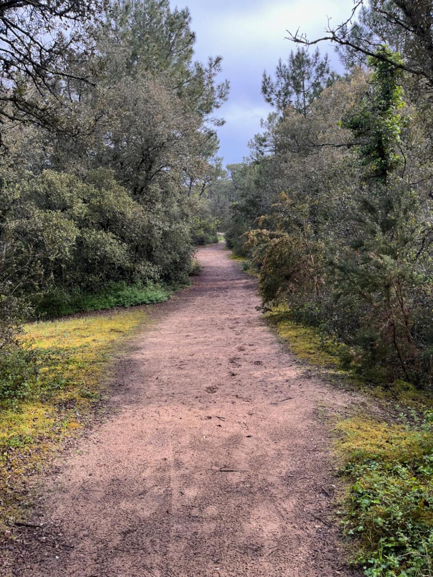 Les Tonnelles 1 A 800m De La Et 500m De La Foret Villa *